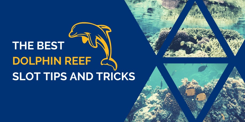 Petua dan Trik Slot Dolphin Reef